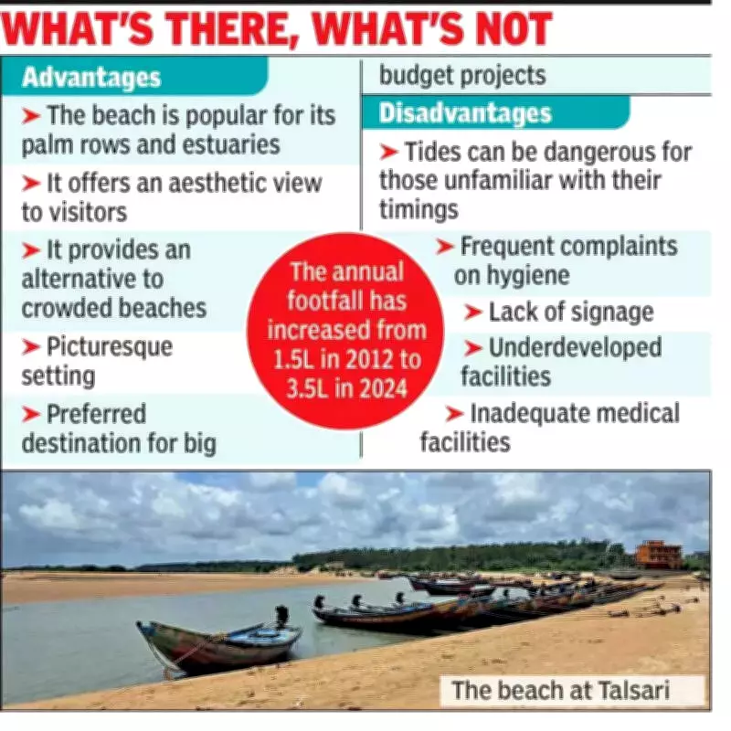 Tollywood Tragedy Exposes Safety Crisis at Odisha's Talsari Beach