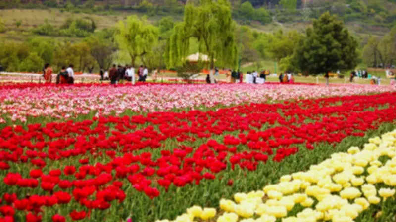 Top 9 Indian Destinations to Explore in March and April: A Seasonal Guide