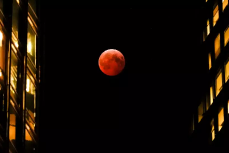 Total Lunar Eclipse on Holi 2026: A Rare Celestial Event for Indian Students
