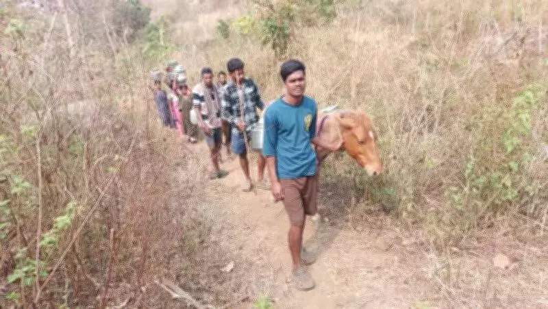 Tribal Village in Visakhapatnam Struggles for Water, Rides Horses Daily to Fetch Water