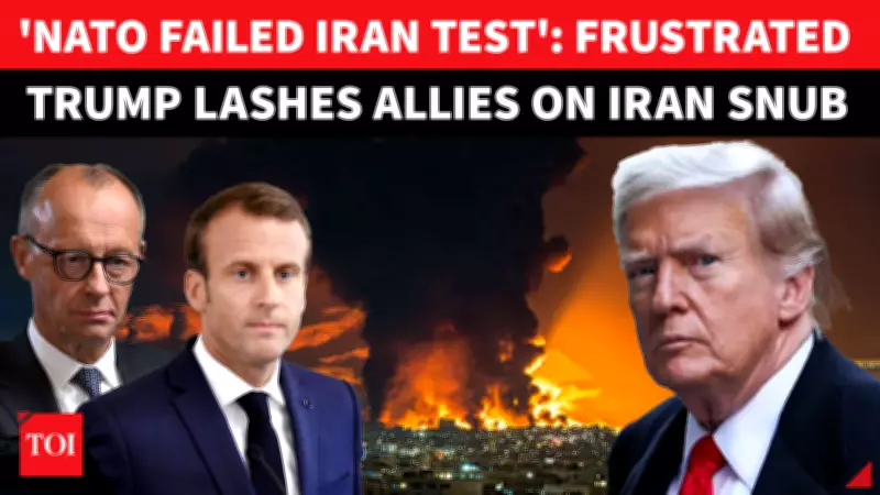 Trump Slams NATO as 'Foolish Mistake' After Macron, Merz Reject Warships Call