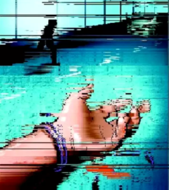 Turkish Woman Killed in Hit-and-Run by Speeding Audi on Zirakpur's VIP Road