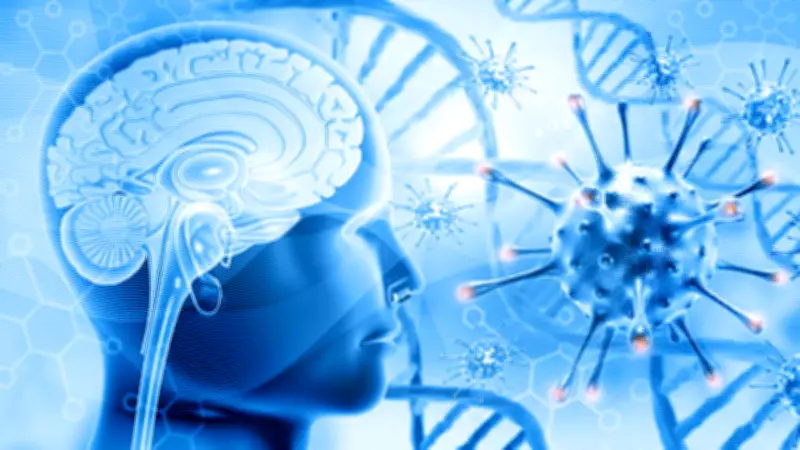 UK Meningitis Outbreak: Rising Cases, Deaths, and Urgent Health Warnings