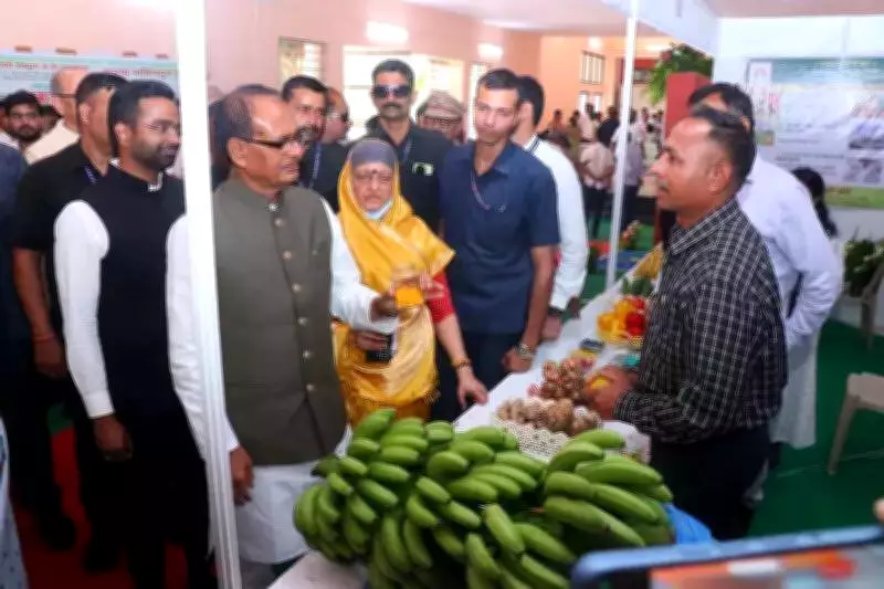 Union Minister Shivraj Singh Chouhan Announces Rs 200 Crore Banana Cluster Project for Jalgaon