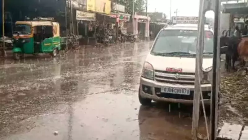 Unseasonal Rain and Hailstorms Hit Gujarat, Threaten Harvest and Crops