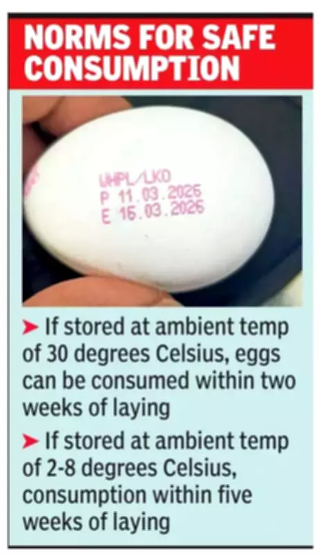 UP Mandates Expiry Date Stamping on Eggs from April 1 to Ensure Food Safety