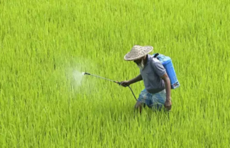 UP's Agricultural Growth Soars to 18% Under Yogi Adityanath's Farmer-First Policies