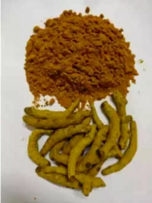 US-Iran Conflict Disrupts Kandhamal Turmeric Exports to West Asia