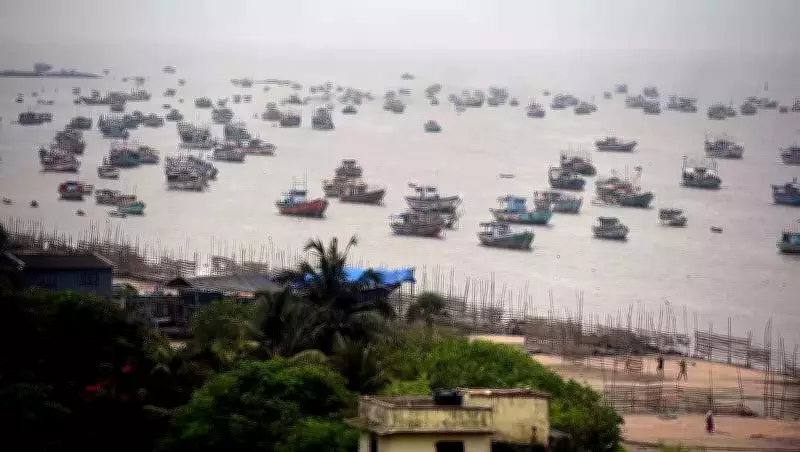 US Tariff Hike Hits Maharashtra Seafood Exports, State Plans Relief Measures