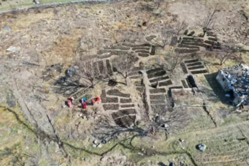 Uttarkashi Promotes Sea-Buckthorn Farming Under REAP for Rural Income Boost