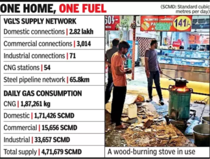 Vadodara Ends Dual Gas Connections: PNG Users to Lose LPG Cylinders