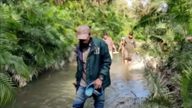 Valmiki Tiger Reserve Study Reveals 75 Dung Beetle Species, Key to Forest Health