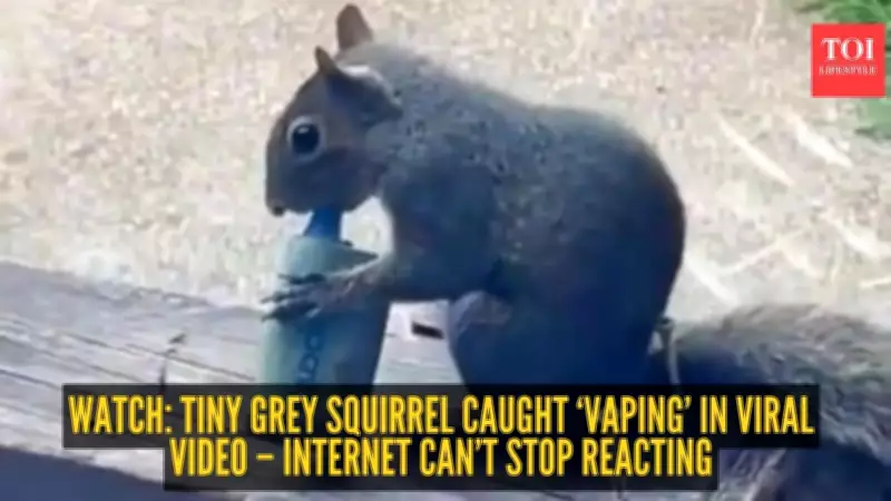 Vaping Squirrel Viral Video Sparks Wildlife Safety Concerns