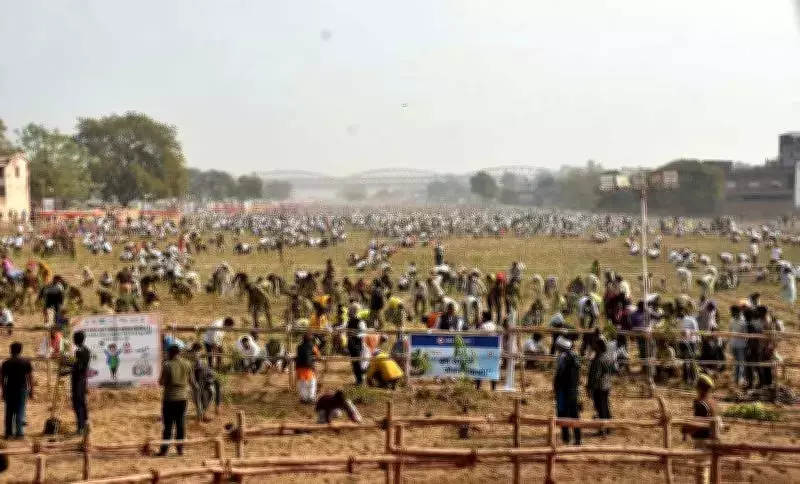 Varanasi Plants 251,446 Saplings in One Hour, Shatters China's World Record