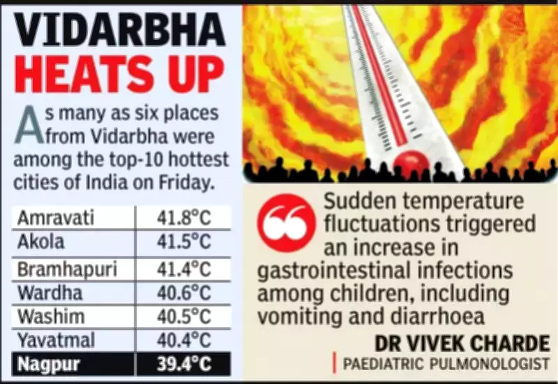 Vidarbha Heatwave: Amravati Tops India's Temperature Chart, Health Concerns Rise