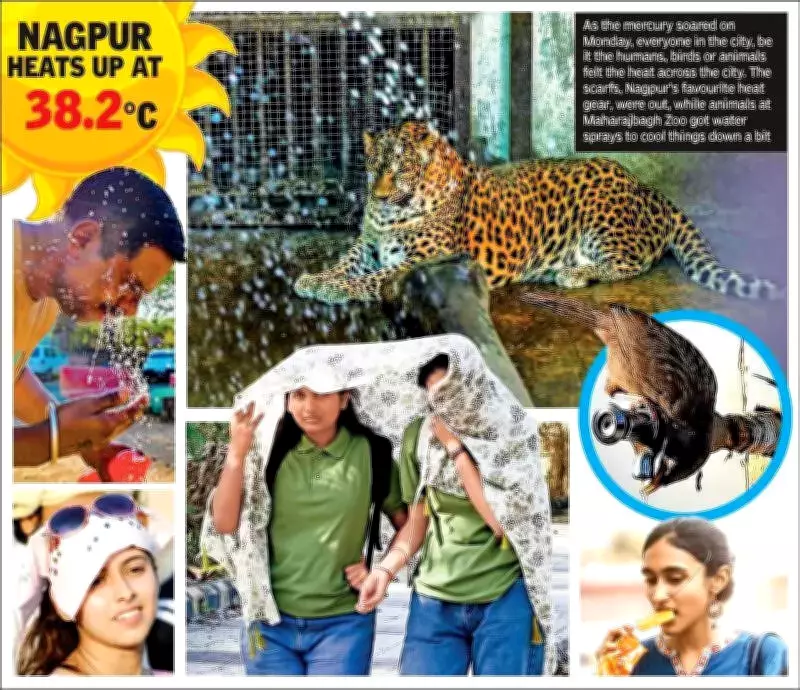 Vidarbha Heatwave Intensifies: Temperatures Soar 4.5°C Above Normal, AC Demand Spikes