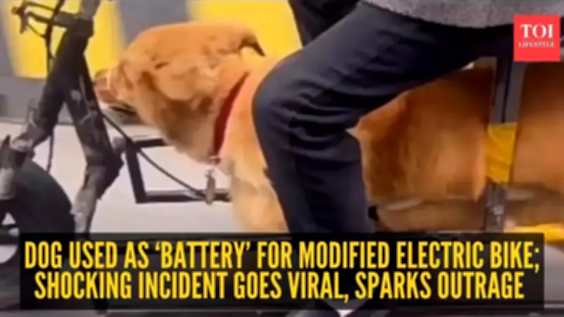 Viral Video: Elderly Man Uses Dog to Power Modified E-Bike in China