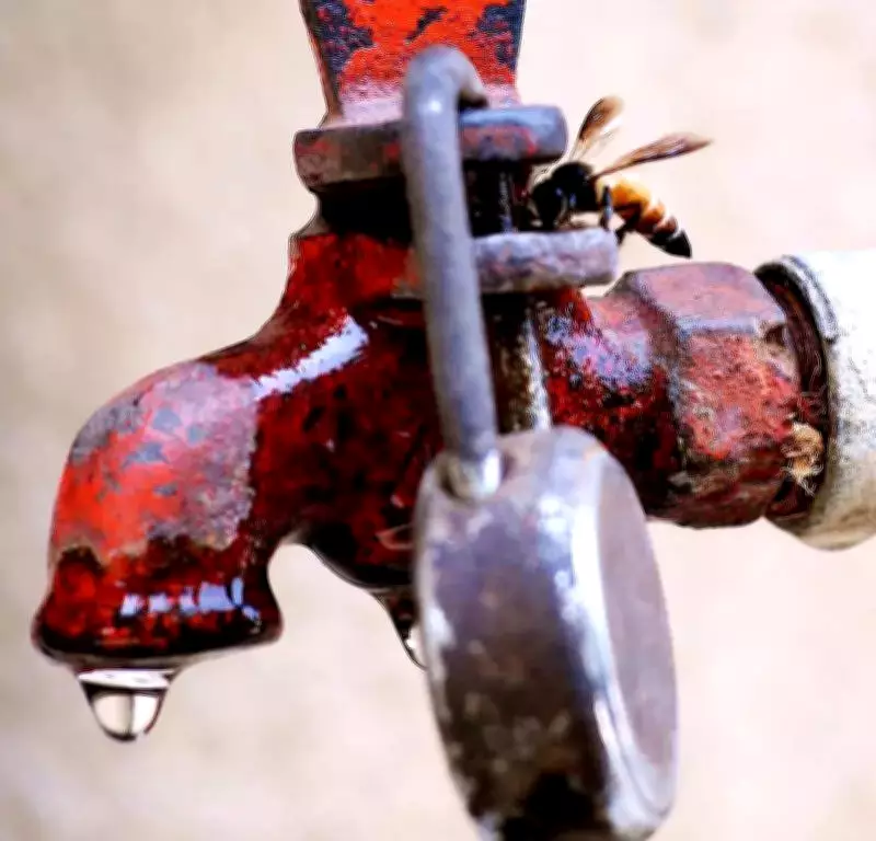 Water Supply to be Disrupted in Mumbai's Goregaon Area Next Week