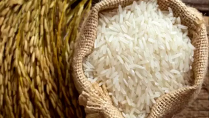 West Asia Conflict Cripples India's Basmati Rice Exports, Threatens Billions in Trade