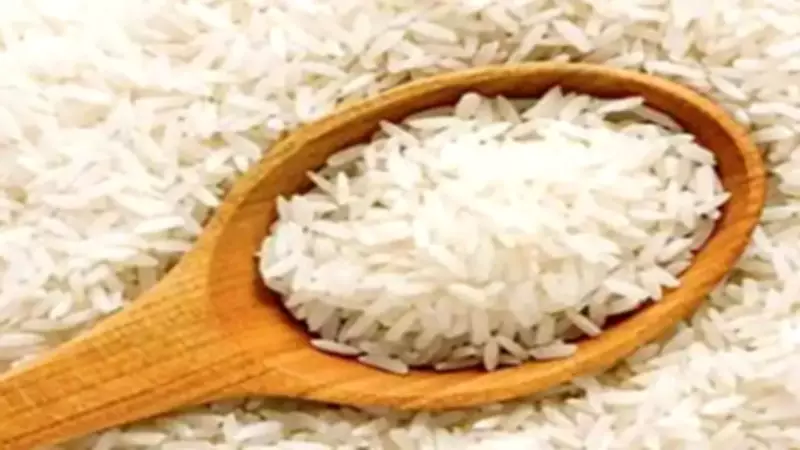 West Asia Conflict Cripples India's Basmati Rice Exports, Traders Face Billions in Losses
