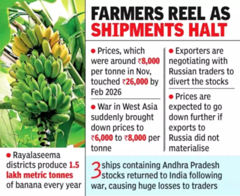 West Asia Conflict Cripples Rayalaseema Banana Exports, Farmers Face Ruin