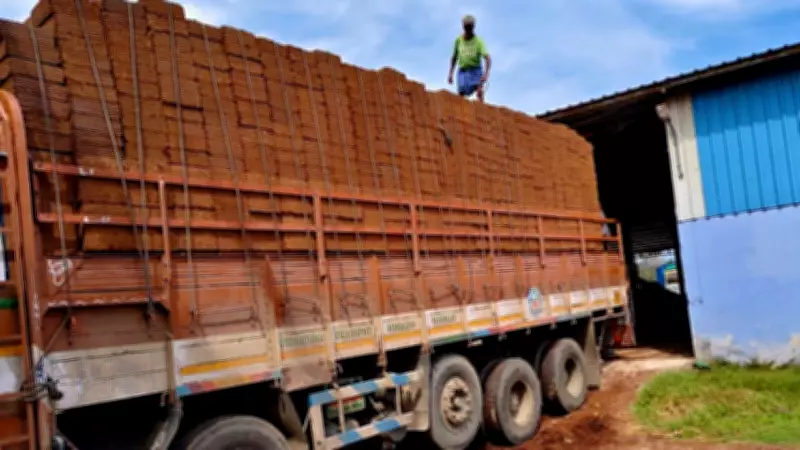 West Asia Conflict Cripples Tamil Nadu Coir Exports, Strands Rs 200 Crore Goods