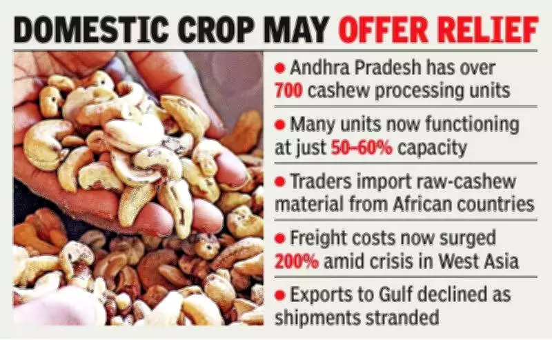 West Asia Conflict Threatens Andhra Pradesh's Cashew Industry with Import Crisis