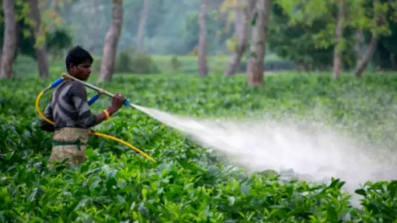 West Asia Conflict to Increase Pesticide Costs by 20-25%, Industry Warns
