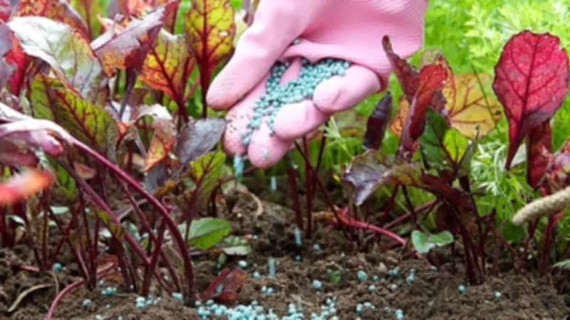 West Asia Crisis Disrupts Middle East Fertilizer Production and Exports