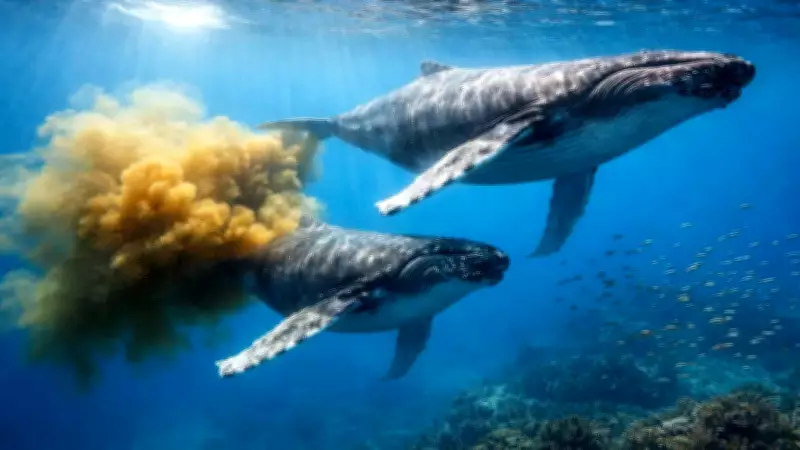 Whale Poop's Crucial Role in Climate Regulation and Ocean Health