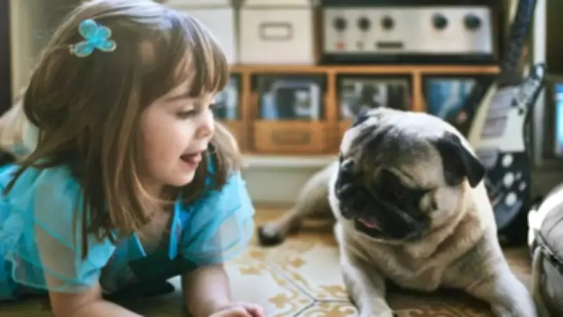 Why Pugs Are Perfect Family Pets: 7 Key Benefits for Children