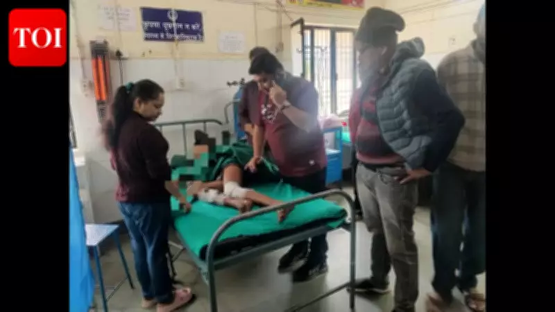 Wild Boar Attacks 13-Year-Old Boy in Uttarakhand Village, Sparks Fear Among Locals