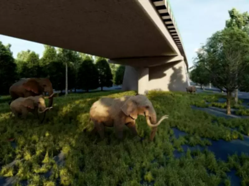 Wildlife Study Shows Underpasses Effective on Delhi-Dehradun Corridor