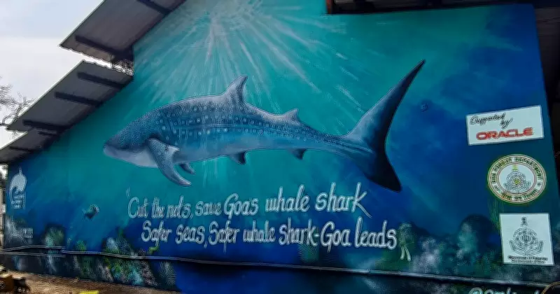 Wildlife Trust of India Uses Mural Art in Goa to Boost Whale Shark Conservation