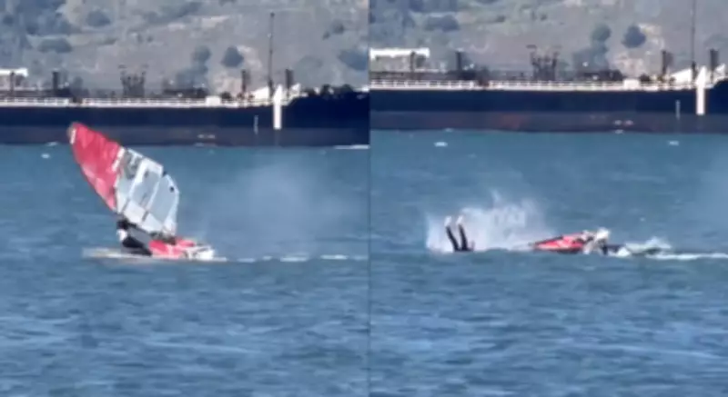 Windsurfer Collides with Gray Whale in San Francisco Bay, Video Goes Viral