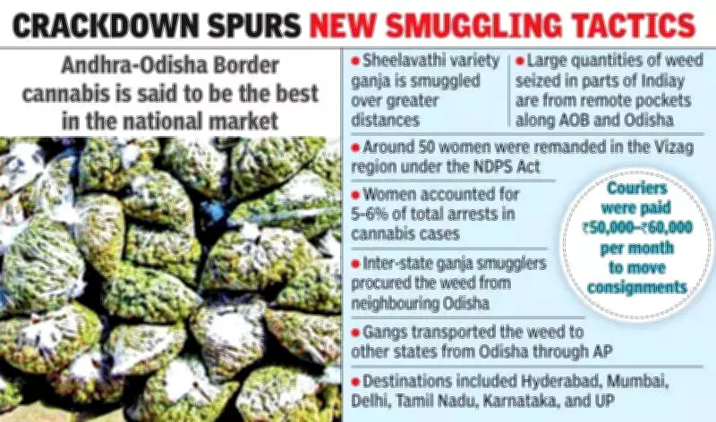Women Couriers Used in Andhra-Odisha Cannabis Smuggling Networks to Evade Police