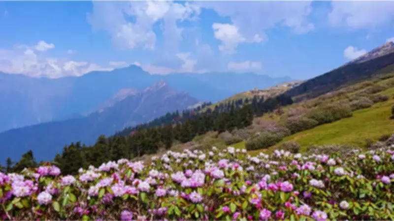 World Wildlife Day 2026: India's Medicinal Plant Havens in National Parks