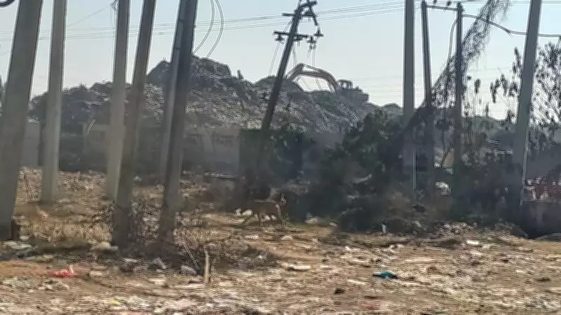 Yamunanagar Civic Body Directed to Implement 100% Door-to-Door Segregated Waste Collection