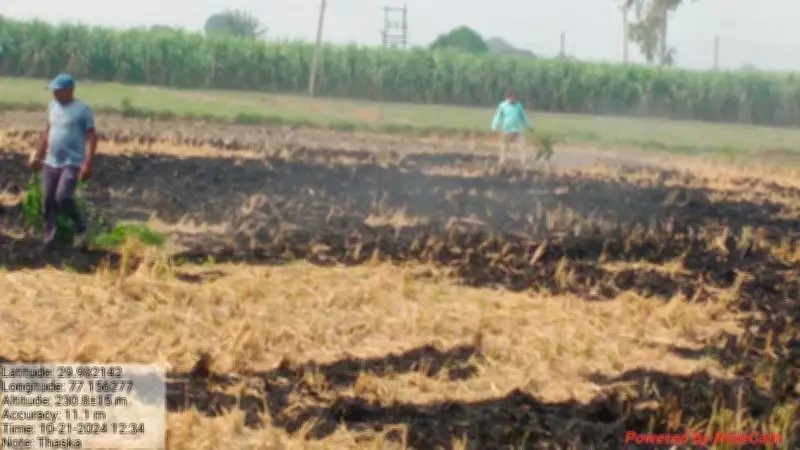 Yamunanagar District Implements Ban on Wheat Stubble Burning to Curb Pollution