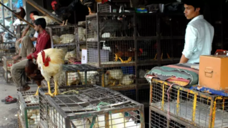 Yelahanka Meat Shops Undergo Rigorous Hygiene and License Inspections