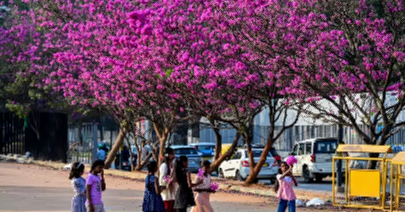 Yugadi in Karnataka: Nature's Canvas Painted with Cultural Significance