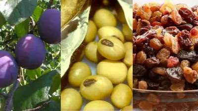 10 Potassium-Rich Foods That Surpass Bananas for Health Benefits