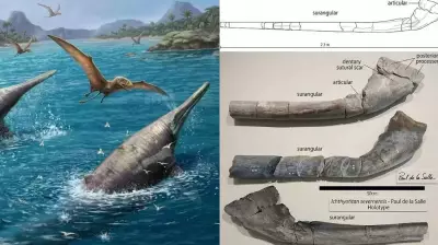 11-Year-Old's Fossil Find Reveals Largest Marine Reptile Ever Discovered