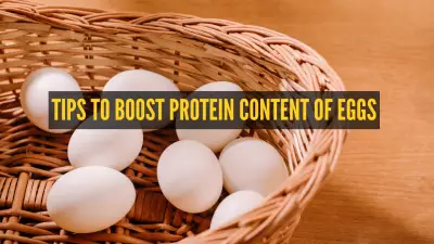 5 Protein-Rich Foods to Pair with Eggs for a Healthier Meal