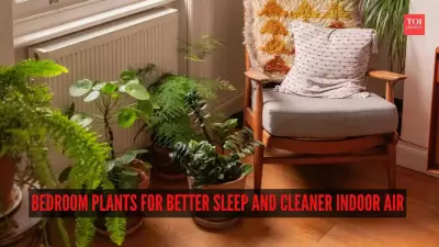 7 Bedroom Plants That Improve Sleep Quality and Purify Indoor Air