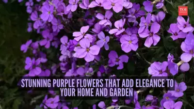 8 Stunning Purple Flowers to Add Elegance to Your Home and Garden