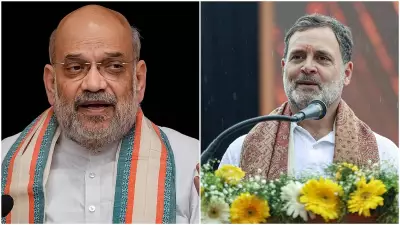 Amit Shah Defamation Case: Court Application Seeks Rahul Gandhi's Voice Sample