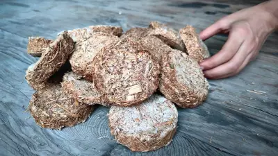 Amritsar Teacher's Biofuel Bricklets Offer Solution Amid LPG Supply Crisis