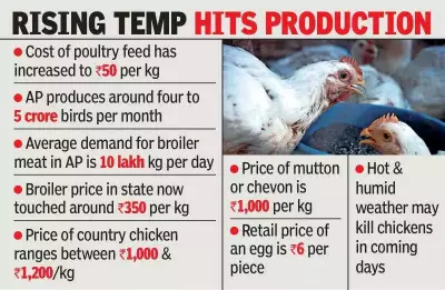 Andhra Pradesh Chicken Prices Soar to Record Rs 350/kg Amid Supply Crunch