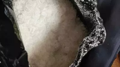 Bengaluru DRI Busts Major Crystal Meth Network, Seizes Drugs Worth Rs 8.3 Crore